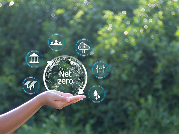 Driving net-zero transformation