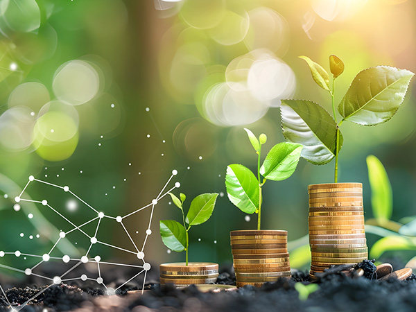 Enabling sustainable investments